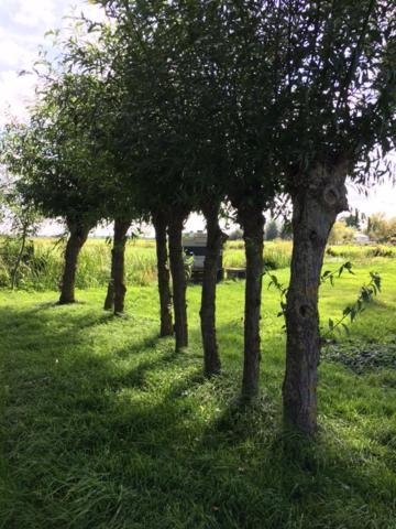 De Beijersche Stee , Landhuysje Βίλα Stolwijk Εξωτερικό φωτογραφία